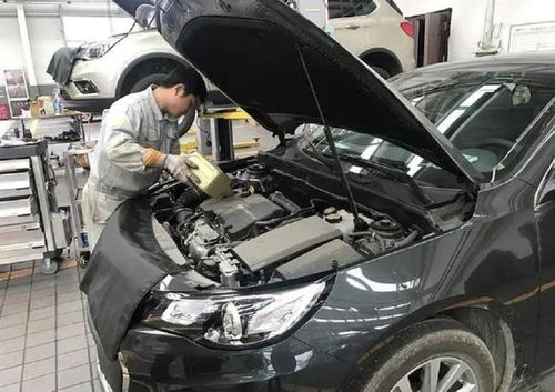 汽车首保价格多少