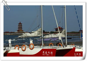 《八仙！》出海
