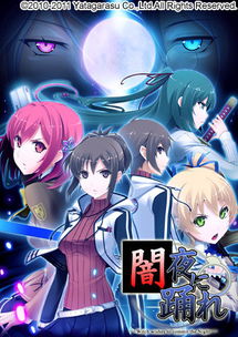 老板爱洗澡游戏大全攻略 VS fategalgame游戏攻略